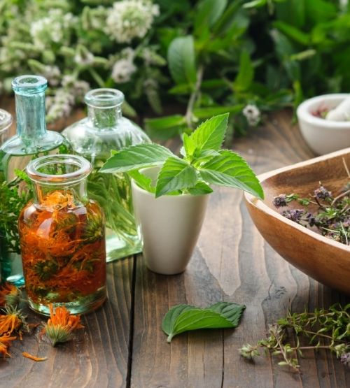 Fanny Hugues naturopathe